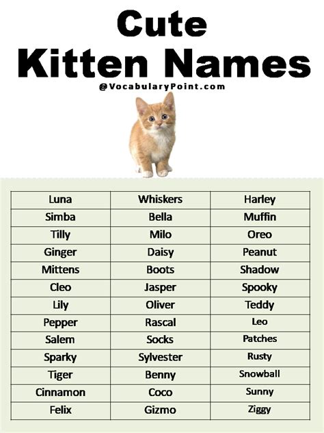cute cat names.